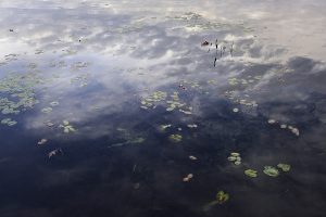 Dream Within A Dream