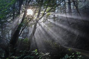 The sunrise at Sinkeyone State Park on the Lost Coast of California