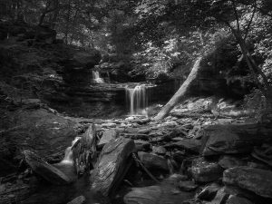 Ricketts Glen