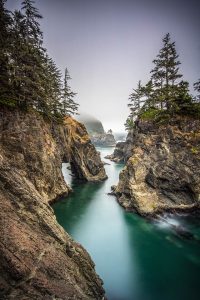 Natural Bridges Light