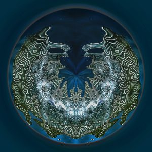 Dendritic Dubiousness