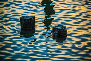 blue and gold reflections