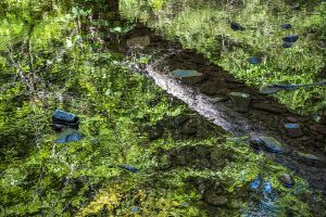 Midstream reflection photo